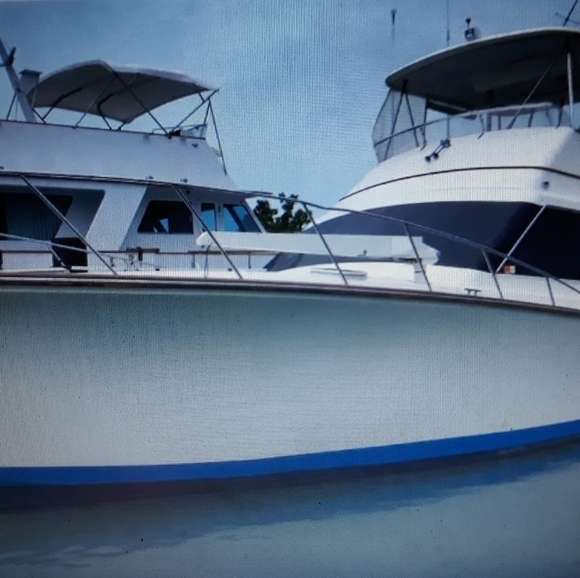 Meet your Posher, Jessica - Picture 14 of 16